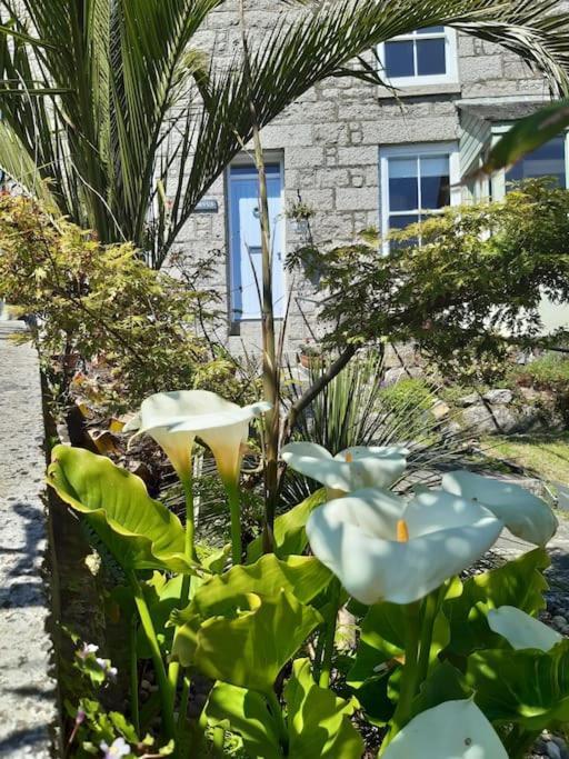 Corvus - Beautiful Cottage Half A Mile From Mousehole Penzance Eksteriør bilde